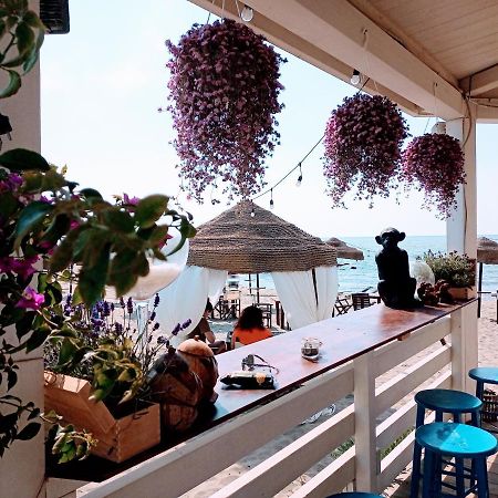 B&B Purple Italy 피우미치노 외부 사진